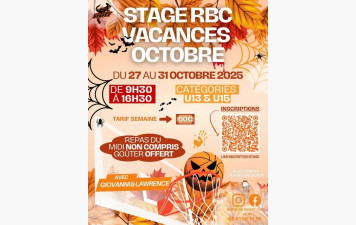 AFFICHE STAGE TOUSSAINT